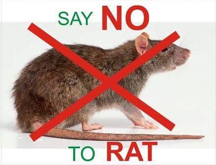 LASSA FEVER UPDATE